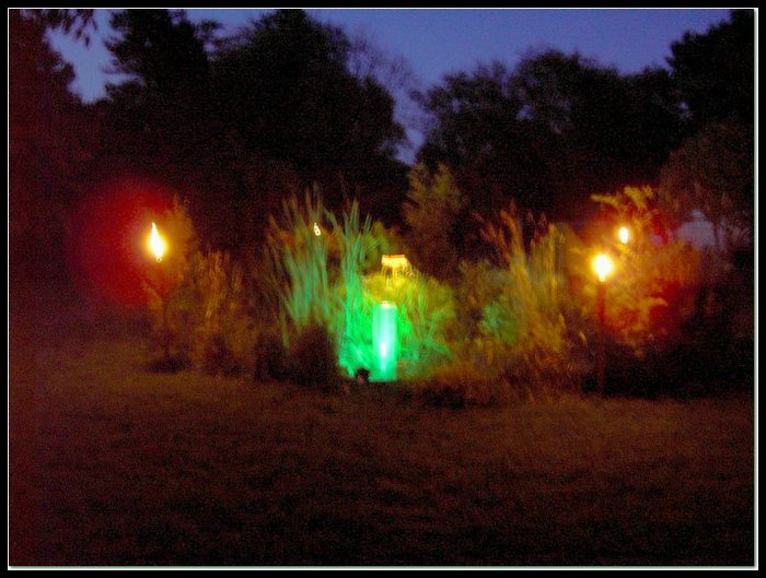 PICT0509.jpg